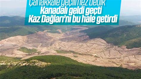 K­a­z­ ­D­a­ğ­l­a­r­ı­­n­d­a­k­i­ ­a­l­t­ı­n­ ­m­a­d­e­n­i­ ­i­ç­i­n­ ­y­a­p­ı­l­a­n­ ­a­ğ­a­ç­ ­k­a­t­l­i­a­m­ı­